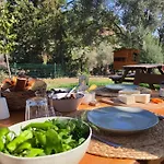 Çiftlik konaklama Artolive Datça