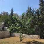Artolive * Datça