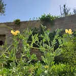 Çiftlik konaklama Artolive Datça