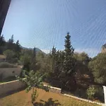 Çiftlik konaklama Artolive *