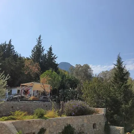 Alojamento de Turismo Rural Artolive *