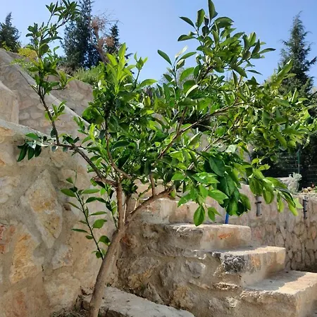 Farm stay Artolive Datca