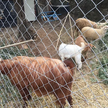 Alloggio per agriturismo Artolive *