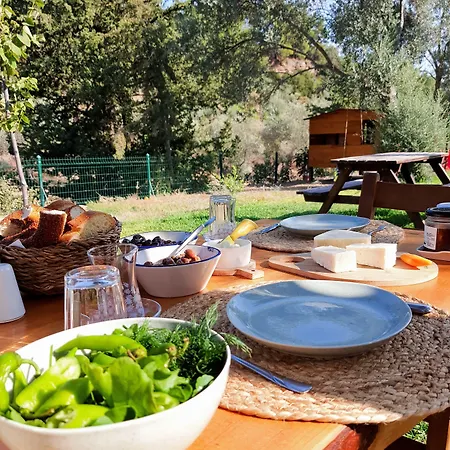 Alloggio per agriturismo Artolive *