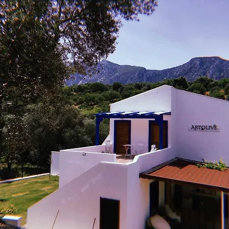 Artolive Alloggio per agriturismo Datça