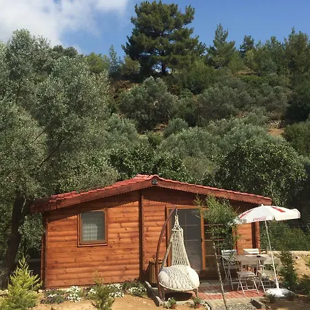 Artolive Alloggio per agriturismo