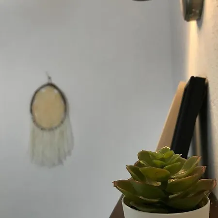 Artolive * Datça