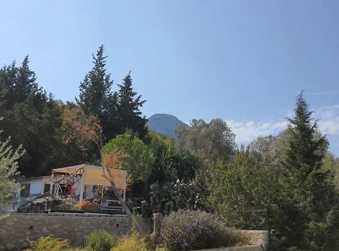 팜스테이 Artolive *