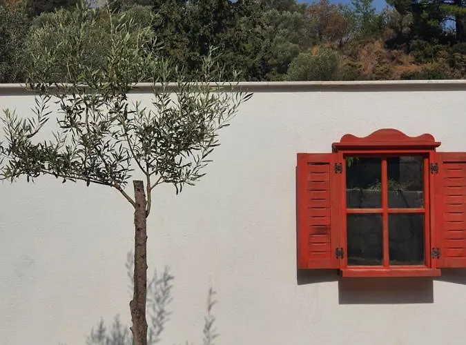 팜스테이 Artolive 닷차