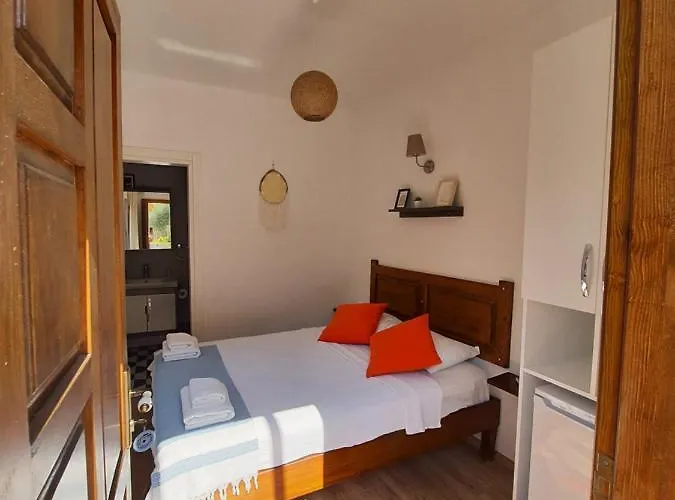 Artolive 팜스테이