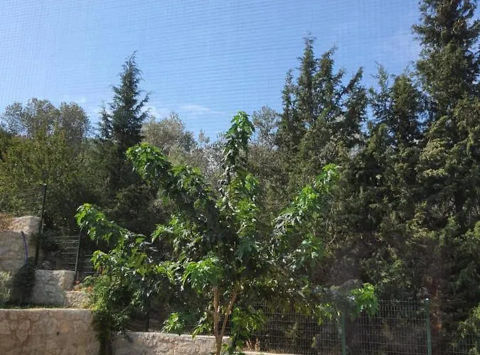 Gospodarstwo agroturystyczne Artolive *