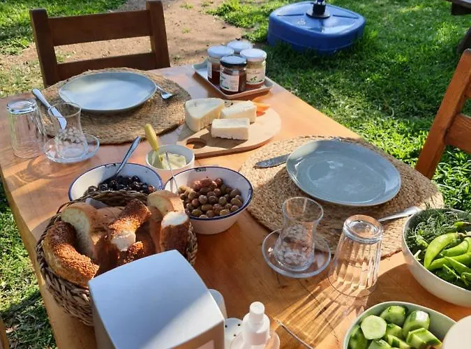 Artolive Gospodarstwo agroturystyczne Datça