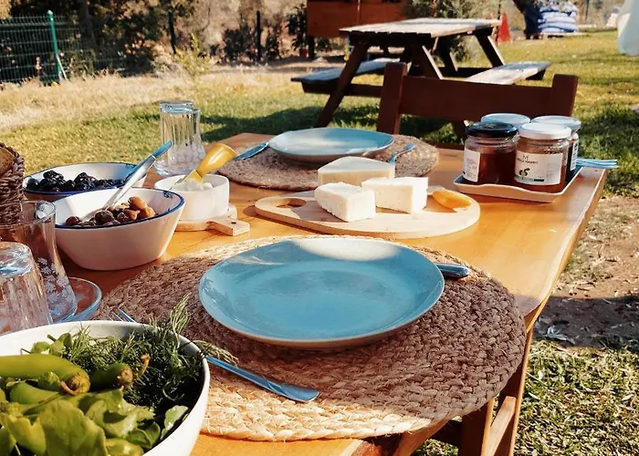 Gospodarstwo agroturystyczne Artolive Datça