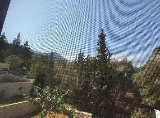 팜스테이 Artolive *