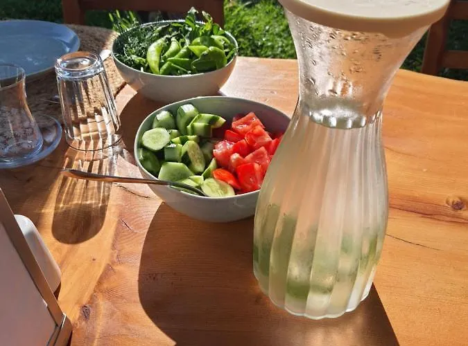 Artolive 팜스테이 닷차