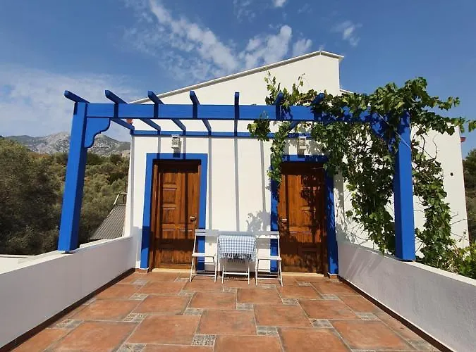 팜스테이 Artolive *