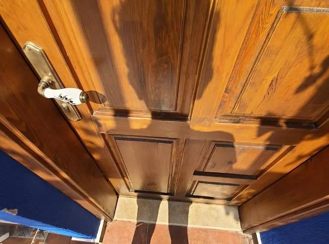 Gospodarstwo agroturystyczne Artolive Datça