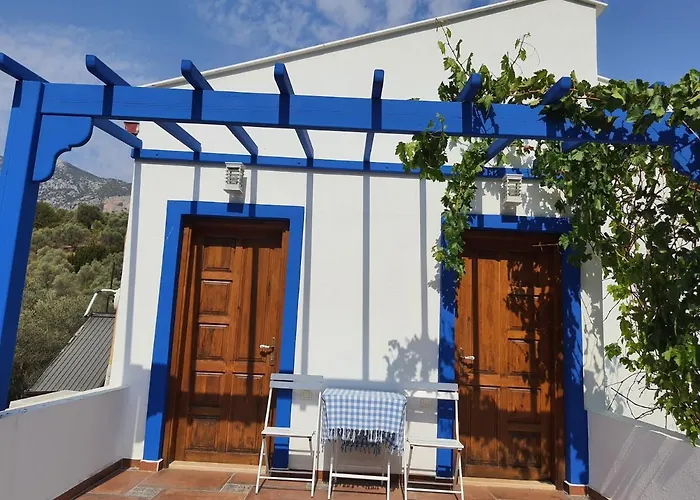 Artolive 팜스테이