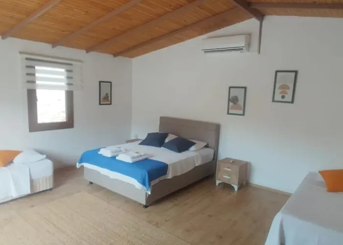 Artolive Gospodarstwo agroturystyczne Datça