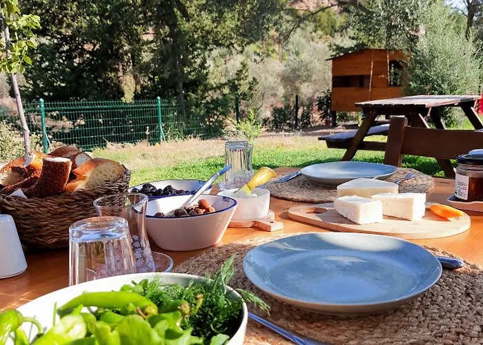 Gospodarstwo agroturystyczne Artolive *