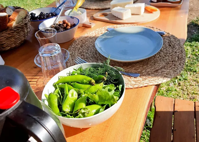 팜스테이 Artolive