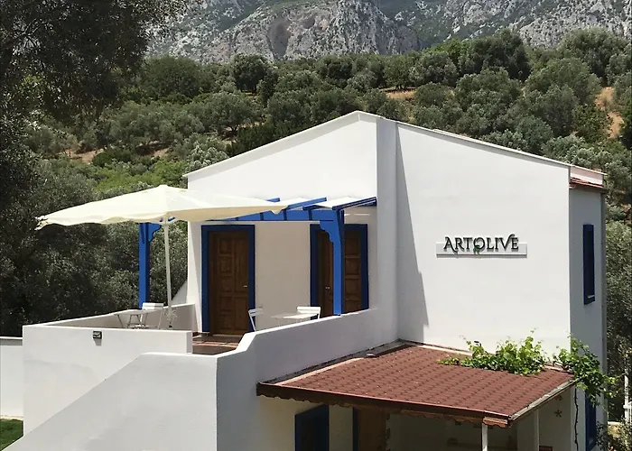 Artolive 닷차