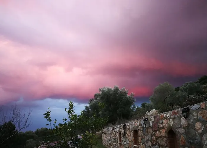 Artolive Gospodarstwo agroturystyczne Datça