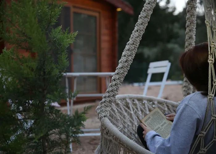 Artolive 팜스테이 닷차