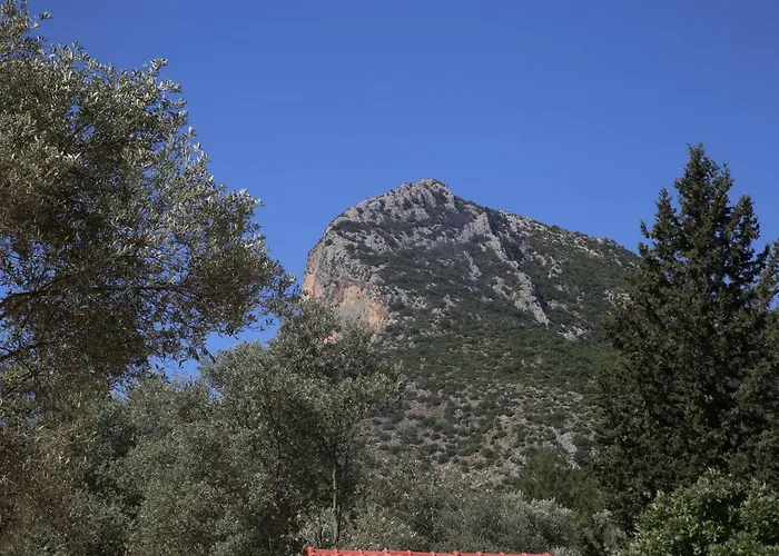 Artolive 팜스테이