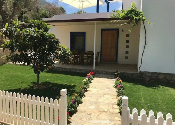 Artolive Pensiune agroturistice Datca