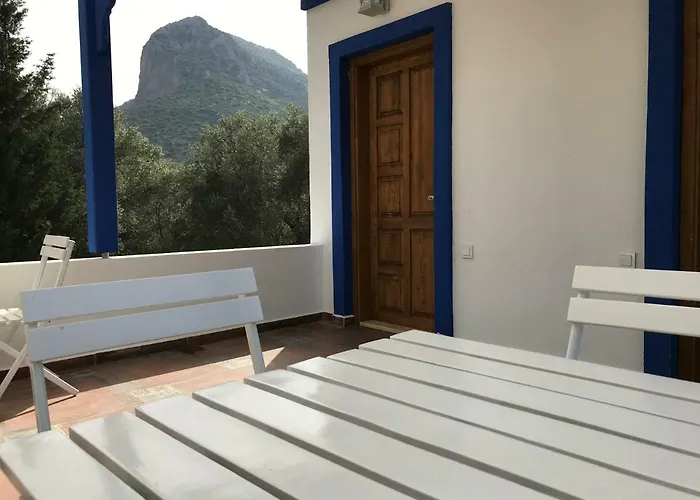 Artolive Gospodarstwo agroturystyczne Datça