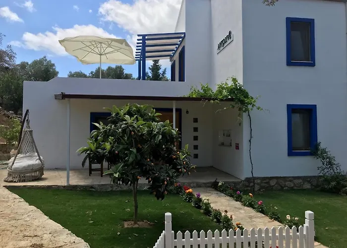 Artolive 팜스테이 *