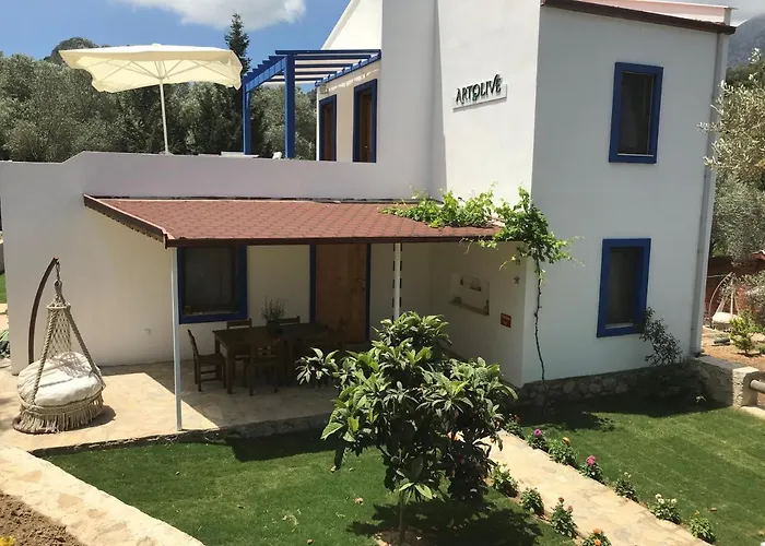 Artolive * 达特恰