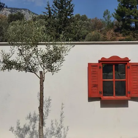 Séjour à la ferme Artolive Datça