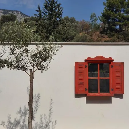 בית חווה Artolive דטקה