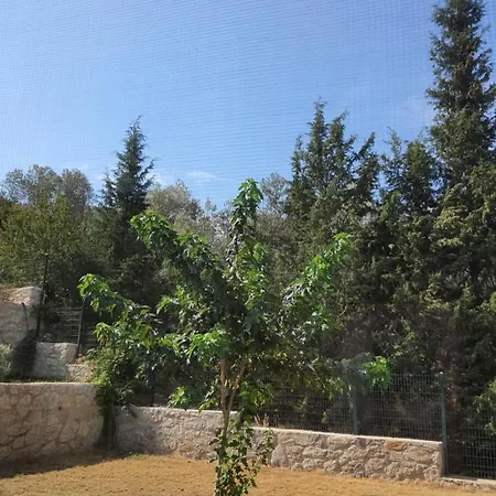 בית חווה Artolive *