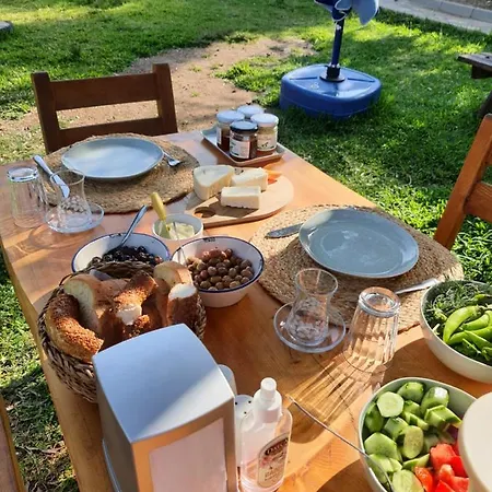 Artolive בית חווה דטקה