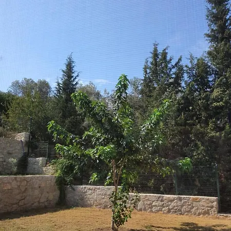 בית חווה Artolive *