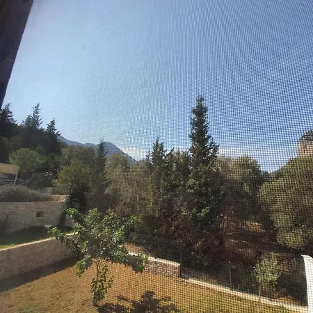 Séjour à la ferme Artolive *