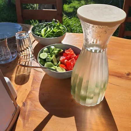 Artolive בית חווה דטקה