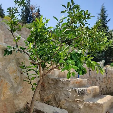 Artolive Séjour à la ferme