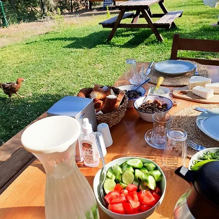 Artolive Farm stay Datca