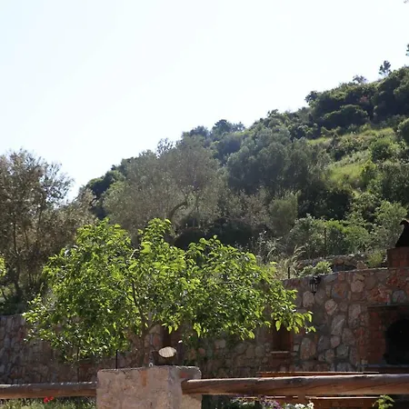 Artolive Séjour à la ferme Datça