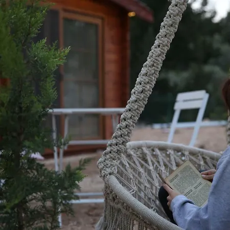 Artolive Séjour à la ferme Datça