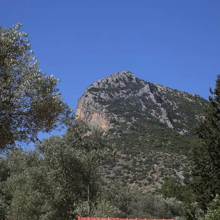 Artolive Séjour à la ferme