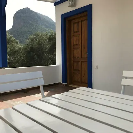 Artolive Séjour à la ferme Datça