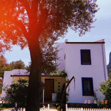 Artolive Lantgård Datça