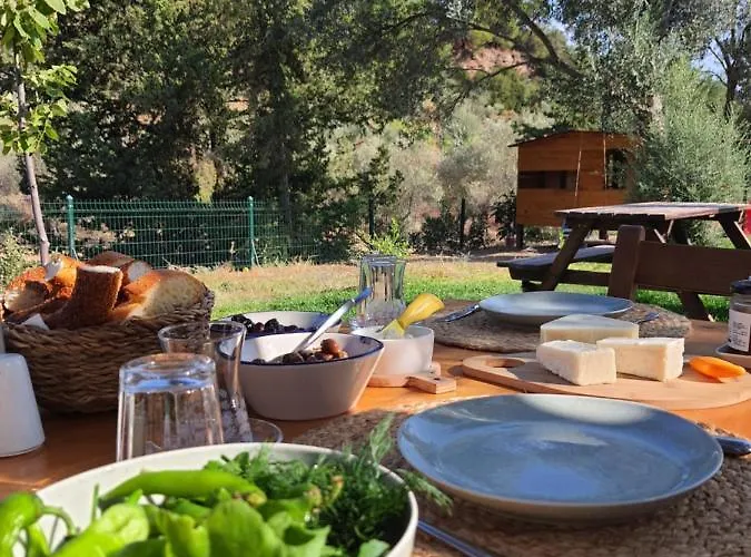 Farma Artolive Datça