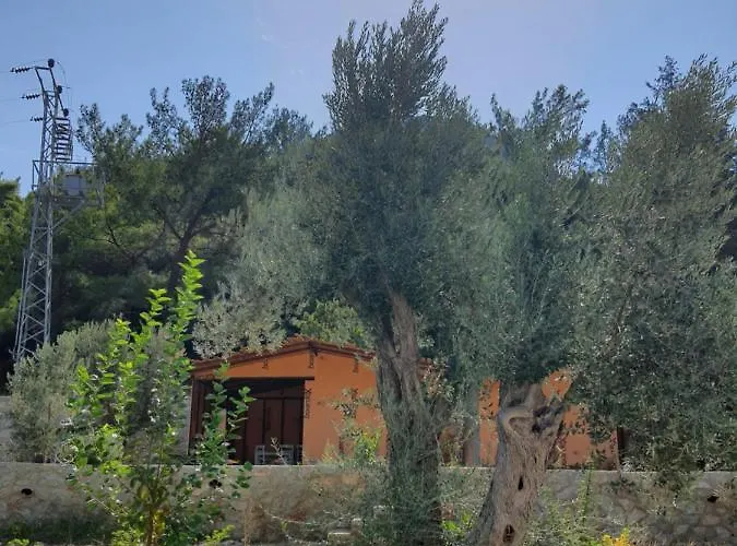 Farma Artolive Datça