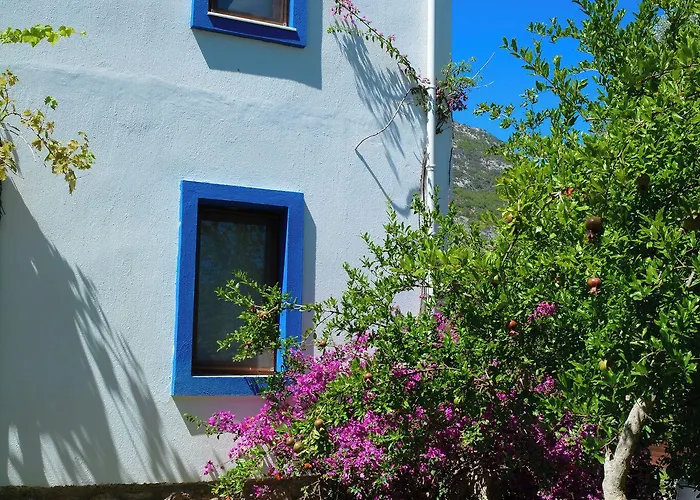 Lantgård Artolive Datça